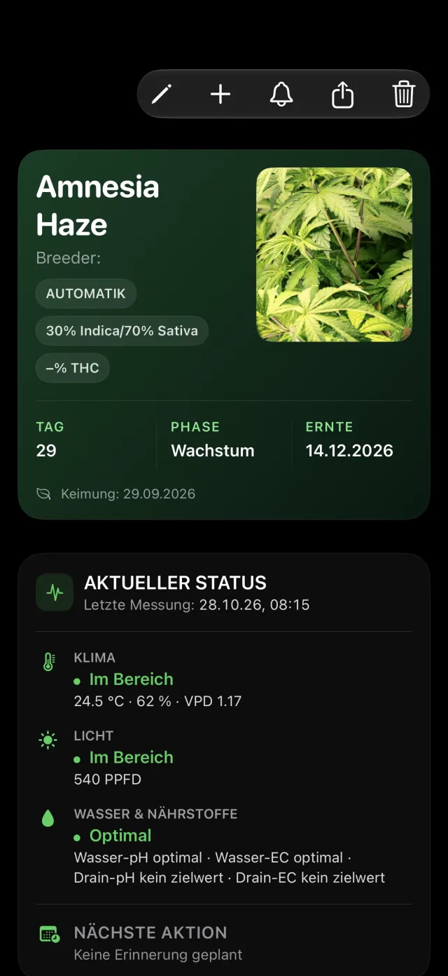 App-Bild auf einem iPhone 17 Pro Max: Pflanzendetail von Amnesia Haze mit Foto, Phase, voraussichtlicher Ernte und aktuellem Status